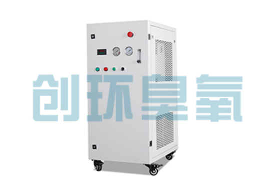 克孜勒苏柯尔克孜石斑鱼养殖水质调控完整指南:臭氧发生器配置与操作步骤